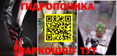 СК Камышлов