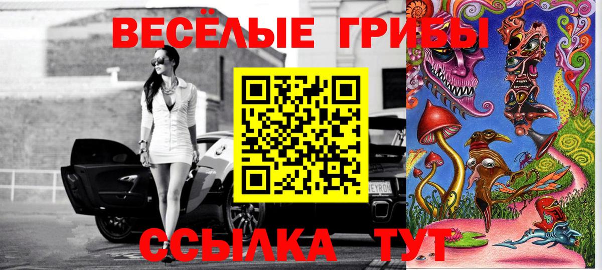 Кувандык  Галлюциногенные грибы Magic Shrooms  Вход с VPN 